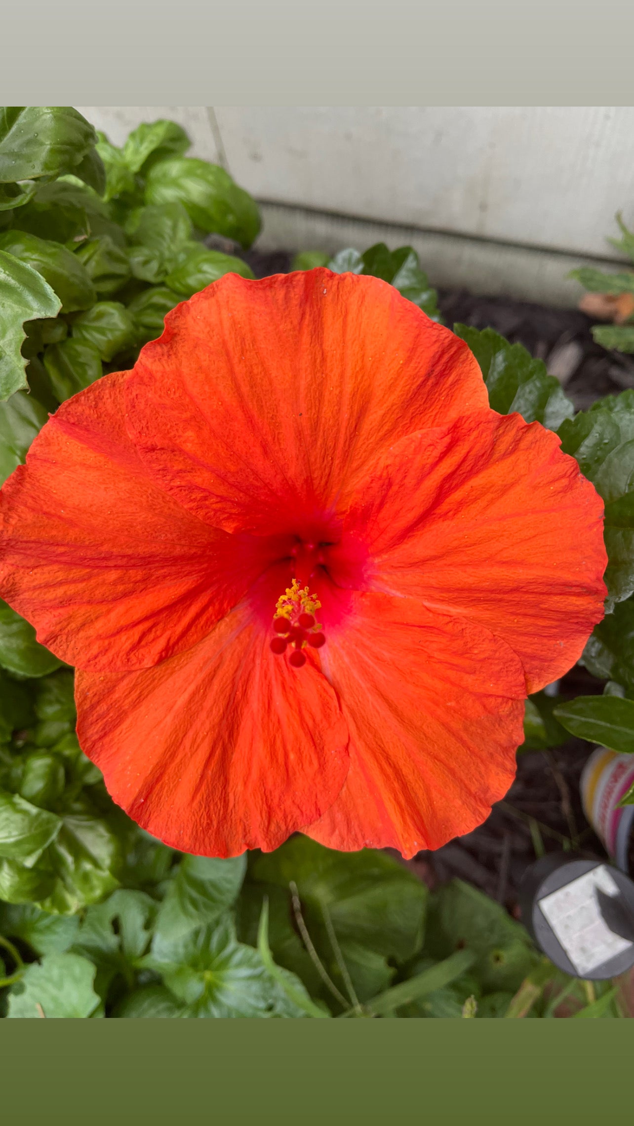 Self love and care Conjure