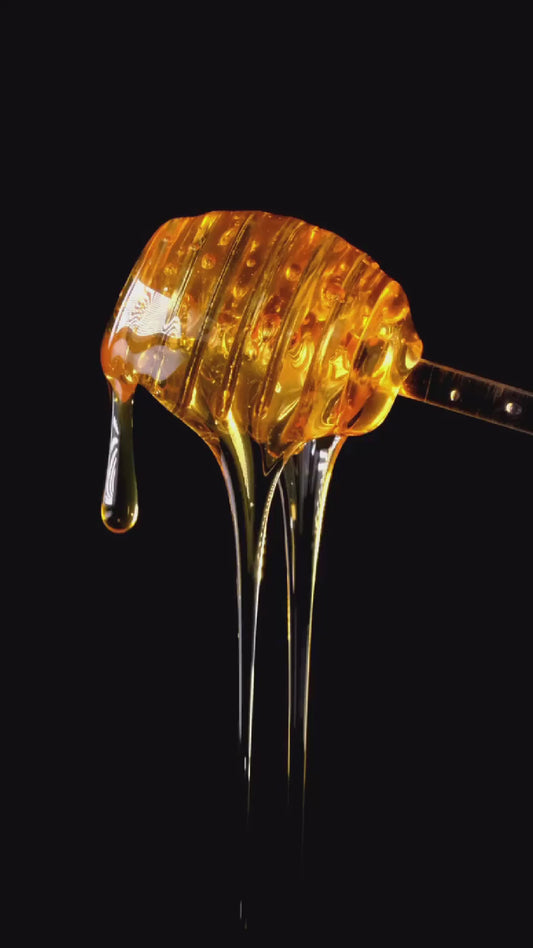 Oshun Healer Oil (best seller)