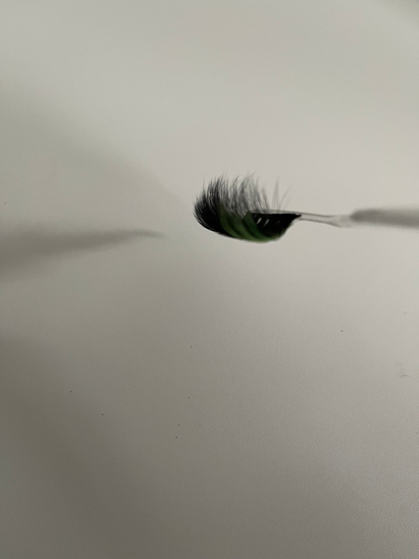 Green with Envy