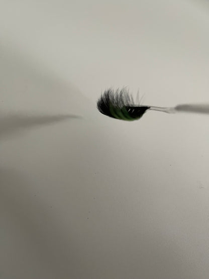 Green with Envy